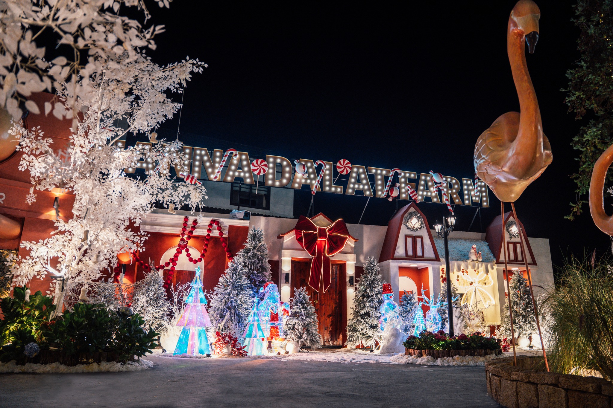 Quán cafe đẹp ở Đà Lạt – Hanna Land café view ánh sáng